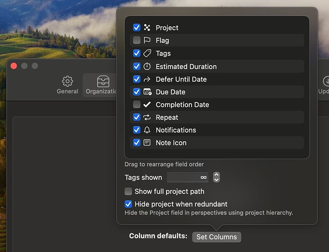 OmniFocus 4 for Mac - Layout Settings